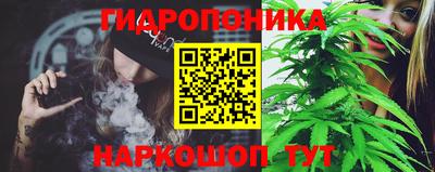 прущие крисы Брянск