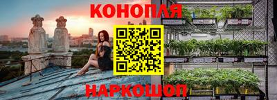 прущие крисы Брянск