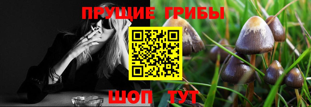 Галлюциногенные грибы Magic Shrooms  Псилоцибиновые грибы прущие грибы  Вход с VPN  Скопин 